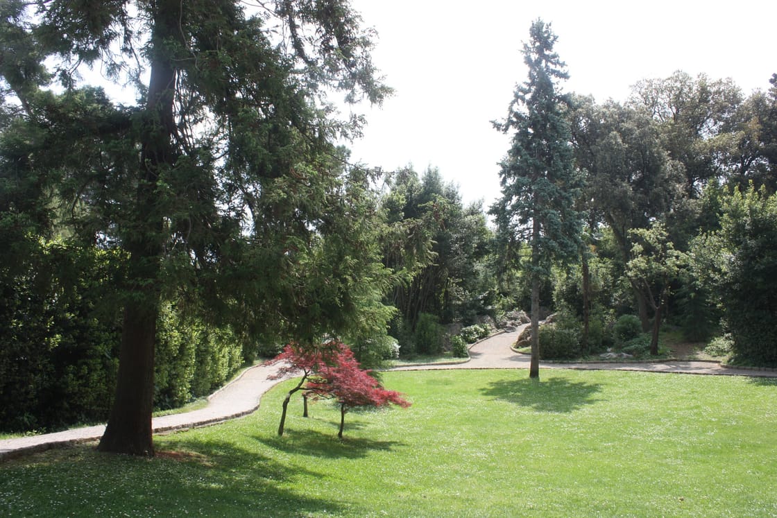 Wege und Pflanzen im Park Angiolina in Opatija